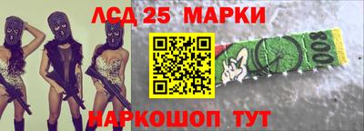 гидра Заводоуковск