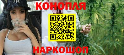 гидра Заводоуковск