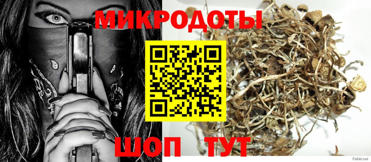 где купить наркоту  Вход с VPN  Псилоцибиновые грибы ЛСД  Мончегорск  Псилоцибиновые грибы прущие грибы 