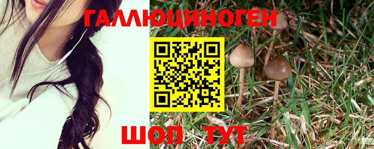 Галлюциногенные грибы MAGIC MUSHROOMS Мончегорск